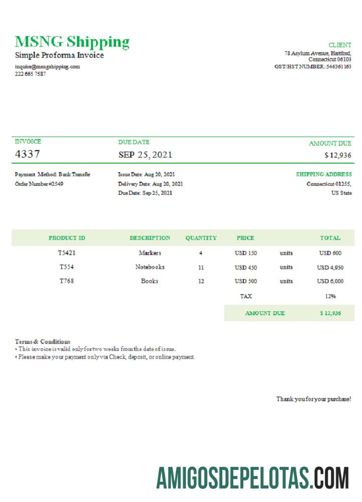 Fatura de envio MSNG dos EUA modelo